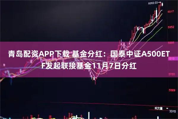 青岛配资APP下载 基金分红：国泰中证A500ETF发起联接基金11月7日分红
