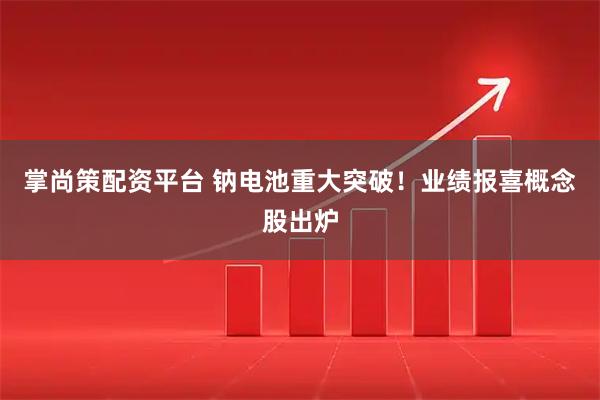 掌尚策配资平台 钠电池重大突破！业绩报喜概念股出炉